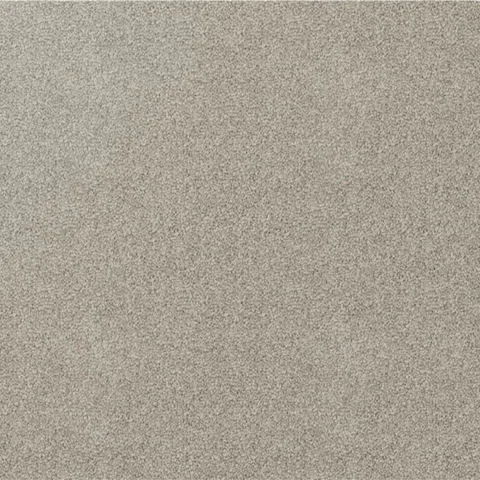 Rhino carpet swatch